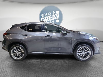 2022 Lexus NX NX 350h Premium