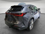 2022 Lexus NX NX 350h Premium