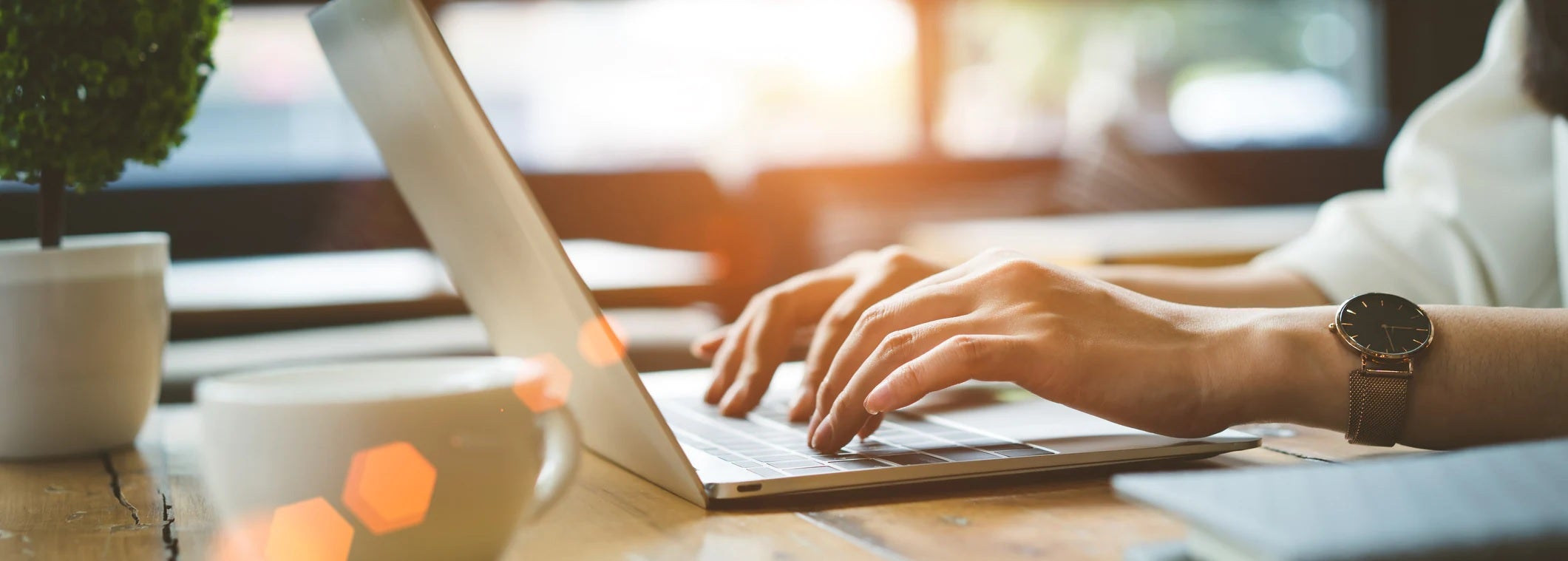 View Our Online Inventory!